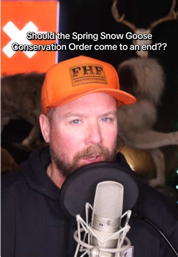 Ending the Spring Snow Goose Conservation Order: What's Next?