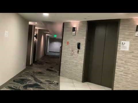 Full hotel tour: double tree in downtown Davenport Iowa