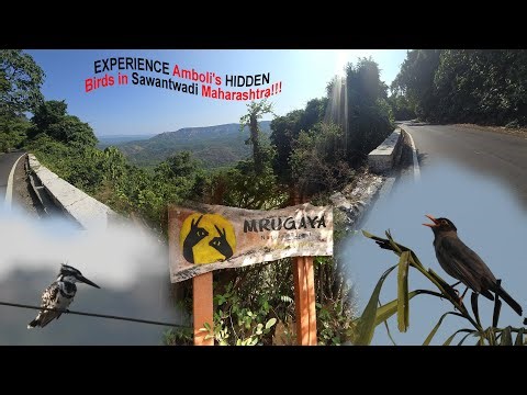 DIGISCOPING in Amboli Sawantwadi Maharashtra