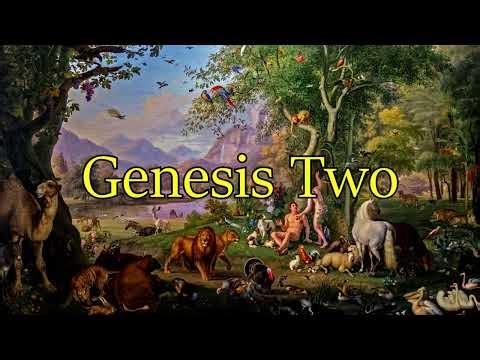 Genesis 2 (Family Audio Bible Reading)