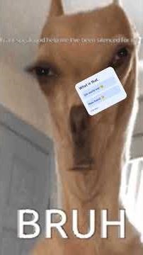 what is that? 🤨. #roblox #roblox #memes #memes#robloxshorts #gaming#bloxfruits