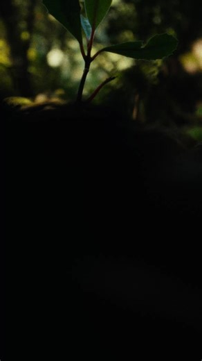 All the adventure. All in one place. From dirt trails to city streets, mountain peaks to ocean swells. Wherever the wild ride takes you, we’ve got the gear to match. | Torpedo7 | Facebook