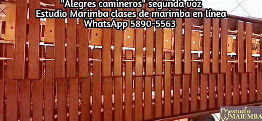 Clases de Marimba en Línea por Zoom