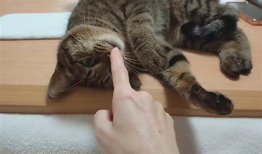 お鼻を押すのは… ダメェ～