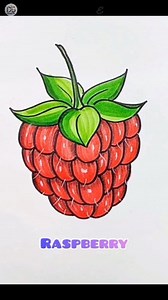 Raspberry Easy Drawing #drawing #drawingforkids #drawingforbeginners | Drawing Book