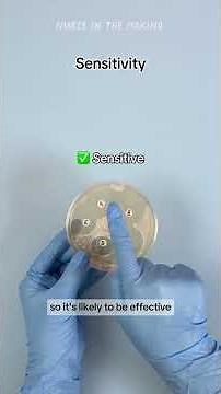 Culture & Sensitivity Explained 🦠
