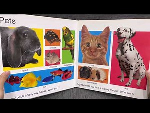 My big animal book