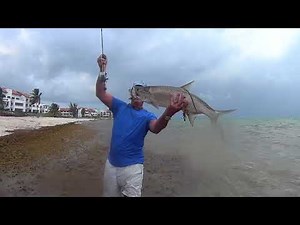 Flyfishing Tarpon Punta Cana