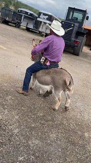 Man Riding a Donkey in Rustic Outdoor Setting
