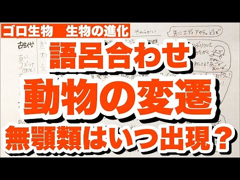 【語呂合わせ】無顎類・魚類・昆虫・両生類・哺乳類・鳥類の出現時期の覚え方 示準化石の語呂合わせ 動物の変遷 生物の進化 ゴロ生物