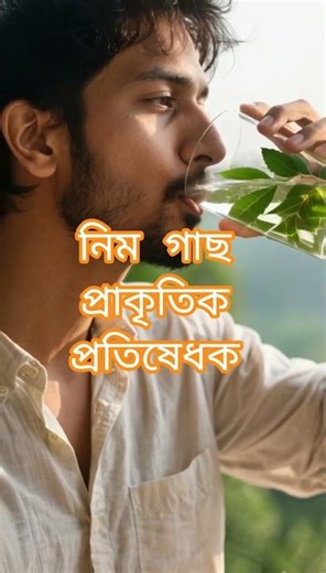 নিম গাছের ও পাতার ব্যবহার! প্রাকৃতিক প্রতিষেধক । Uses of Neem tree and leaves! Natural antidote.
