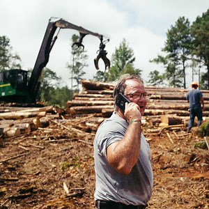 Thousands of Southerners Planted Trees for Retirement. It Didn’t Work.