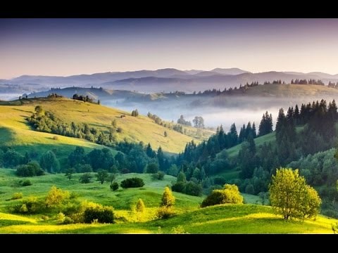 Romania Wild Carpathia Documentary