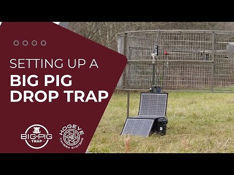 Big Pig Drop Trap Assembly