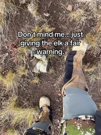 Stealth Techniques for Successful Elk Hunting