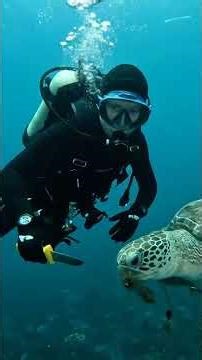 Ghost Net Hero | Diver Rescues Sea Turtle Trapped in Giant Underwater Fishing Net