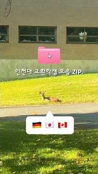 Incheon National University Exchange Student Collection ZIP.✈️