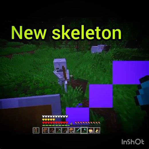 new java skeleton vs old java skeleton