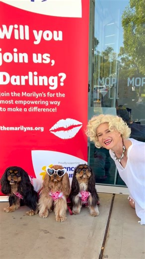Trixie, Cherry & Lottie on Instagram: "This morning we met lots of bold, brave and fabulous Marilyns, swimming to raise funds for South Aussie’s impacted by cancer! White swimsuits … blond wigs …sunglasses and red lipstick, 400 Marilyns! ❤️🤍💙 Fun Fact: Each year hundreds of Marilyns swim around Brighton jetty, but this year due to the agal bloom affecting safety at our beaches, the event was taken poolside. Sadly we weren’t allowed in, but we still met lots of friendly Marilyns, some even reco