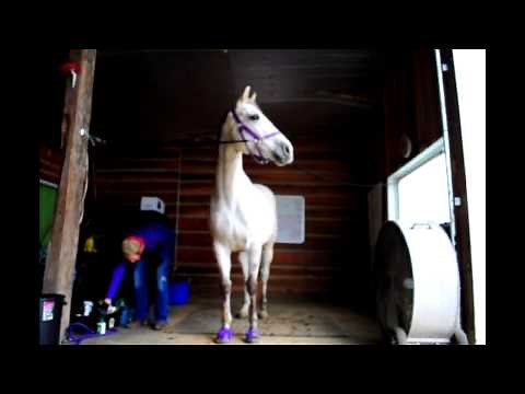 Managing a Horse Boarding Facility