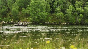 Rowing a boat down the river - Free Stock Video