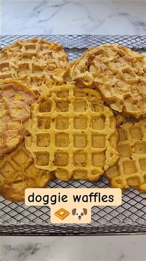 waffle recipe for dogs #dogcommunity #waffles #dogshorts #homemadedogfood #dogfoodrecipe #dogmom