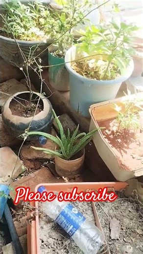 it's me Kavitha #familyvlog #cooking #entertainment