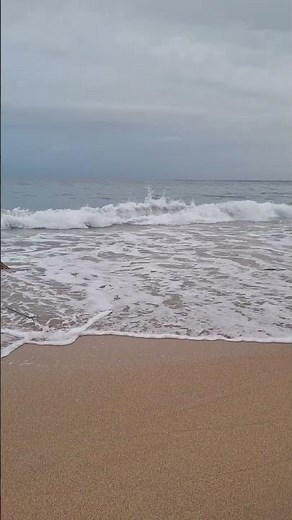 Playa Manzanillo Limón