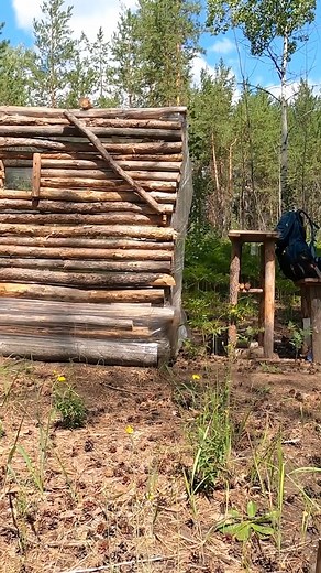 Building Dugout Shelter in a wild forest. Build LOG CABIN. Bushcraft. PART 1 | Alex Wild