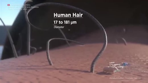 Neuron vs viruses vs bacteria. Microorganisms size comparison:At the smallest end, viruses reign as the tiniest entities, mere nanometers in size, carrying genetic information within a protein… | Science | 903 comments