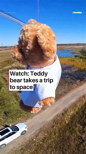 2M views · 8.6K reactions | This bear has seen it all! 笠 Watch as a teddy bear experiences space for the first time when engineering students at the University of Nottingham in Ningbo, China launch it into the stratosphere, captured by a DJI drone. | cheddar news | Facebook