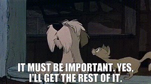 - It must be important. - Yes, I'll get the rest of it.