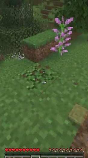 HAMMER IN MINECRAFT!!!
