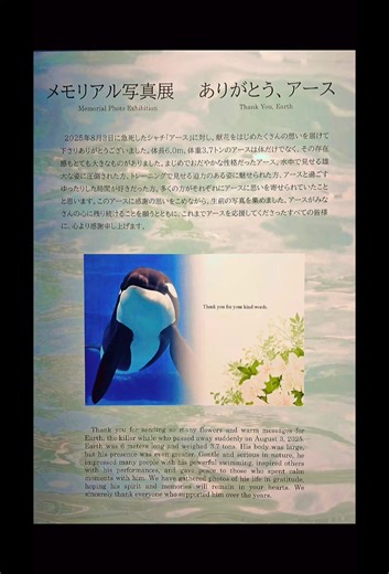 名古屋港水族館での心温まる別れ