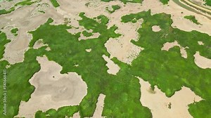 dry riverbed, wetland, swamp, ecology