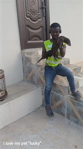 La conexión con la naturaleza: la seguridad de los animales