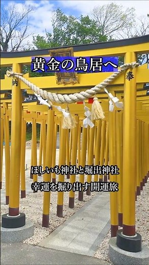 【茨城の絶景】黄金の鳥居が願いを叶える。ほしいも神社＆堀出神社を巡る大人の開運ツーリング🌿 #shorts