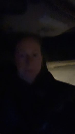 39 reactions · 5 comments | Transport day! A van full of pups and one kitty, headed to meet a networking rescue group in Colorado this afternoon. Our longest ride yet! | Page Animal Adoption Agency | Facebook