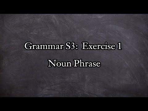 Grammar S3: Exercise 1 ( Noun Phrase )