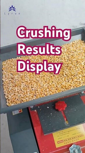 Corn Crusher Demo: Different Crushing Levels for Your Livestock Feed Needs! #poultryfeed