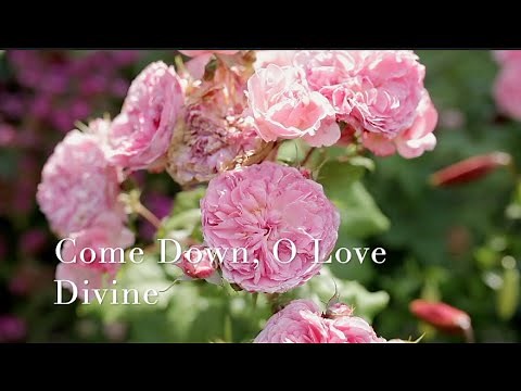 257 SDA Hymn - Come Down, O Love Divine (Singing w/ Lyrics)