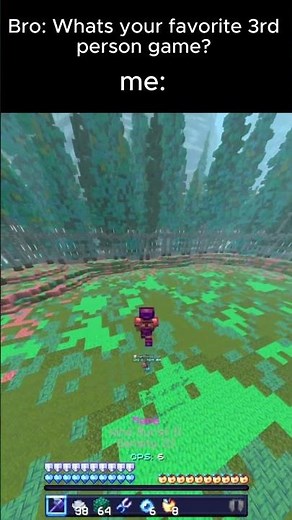 ts is NOT 3rd person😭🙏🥀#minecraft #memes #shorts