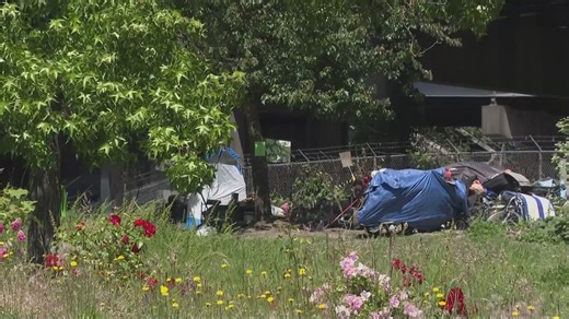 Hundreds share their difficulties in finding permanent housing in PSU study