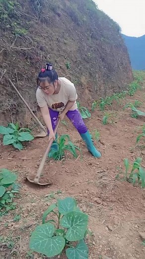 Agricultural Techniques: Tilling Soil in the Field