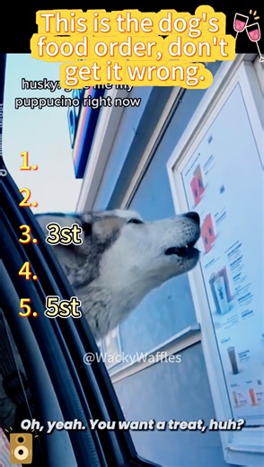 This is the dog's food order, don't get it wrong.