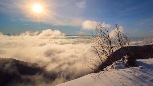 自然在 16k 视频超高清 120Fps 中如此强大| 16k HDR 120fps |