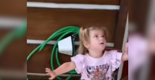 "Can I Pet That Dog?" Brave Toddler Wants To Pet Creature That's Definitely Not Canine.