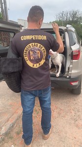 She’s the most beautiful pit bull I’ve ever seen | Pablo The Bully