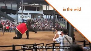 30K views · 1.9K reactions | In 2017 we moved the world to protect...