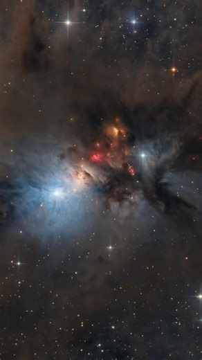 NGC 1333, A Stellar Nursery in Perseus, #shorts